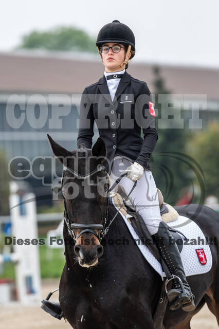 Goldene Schärpe 2020 - Pferde