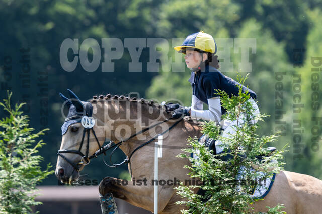 Goldene Schärpe 2021 - Ponys