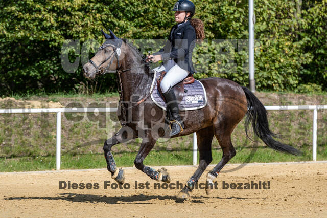 RFV Dinslaken-Hiesfeld (Herbstturnier)