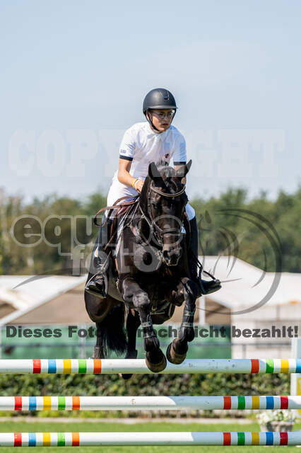 Kronenberg - De Peelbergen (August 2020)