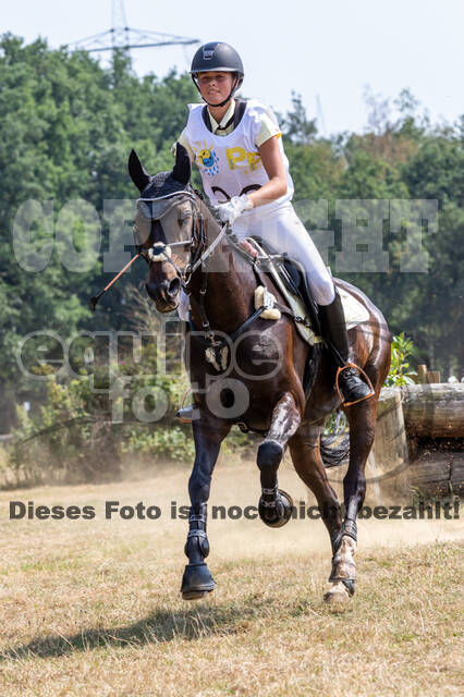 Late-Entry Vielseitigkeit Hamminkeln/Wesel (01.+02.08.2020)