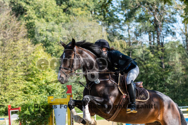 RFV Dinslaken-Hiesfeld (Herbstturnier)