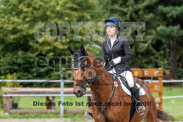 Late-Entry-Vielseitigkeit Langenfeld (06.+07.07.2020)