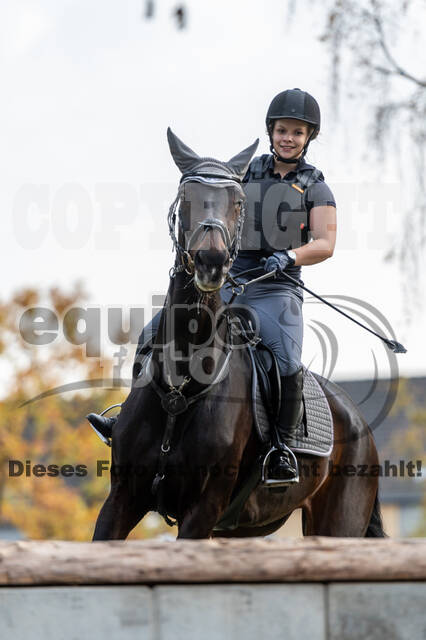 IGV Lehrgang der Sieger der Cups mit Frank Ostholt