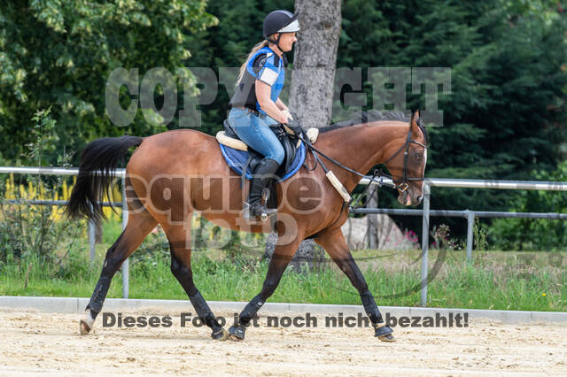 Hunter Geländetraining 10.07.2021 (Sonsbeck)