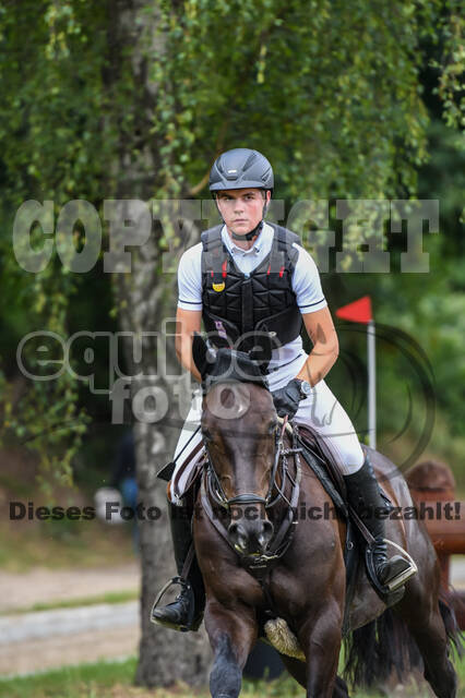 Late-Entry-Vielseitigkeit Langenfeld (11.+13./14.06.2020)