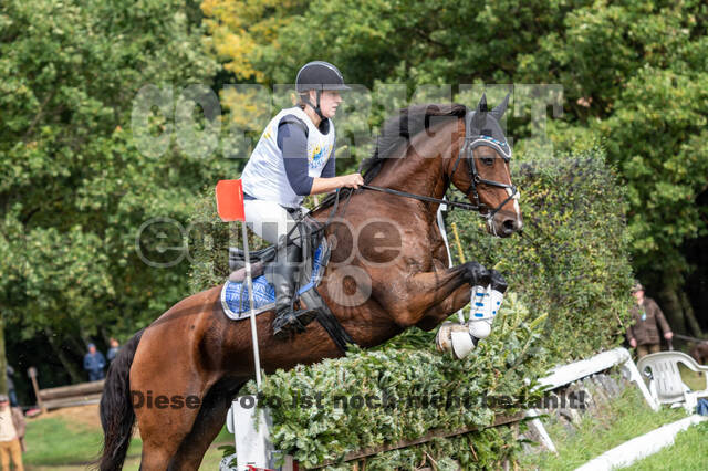 Vielseitigkeit RSV Wesel Obrighoven (26.+27.09.2020)