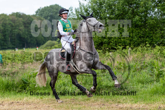 Westerstede Horse Trials (10.-13.06.2021)