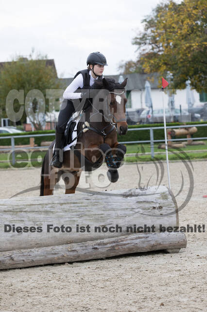 IGV Lehrgang der Sieger der Cups mit Frank Ostholt
