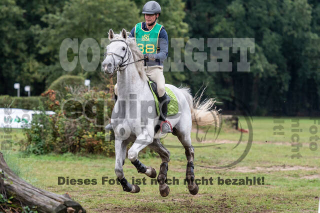 Vielseitigkeit RSV Wesel Obrighoven (26.+27.09.2020)