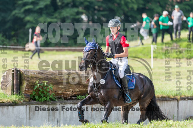 Goldene Schärpe 2021 - Ponys