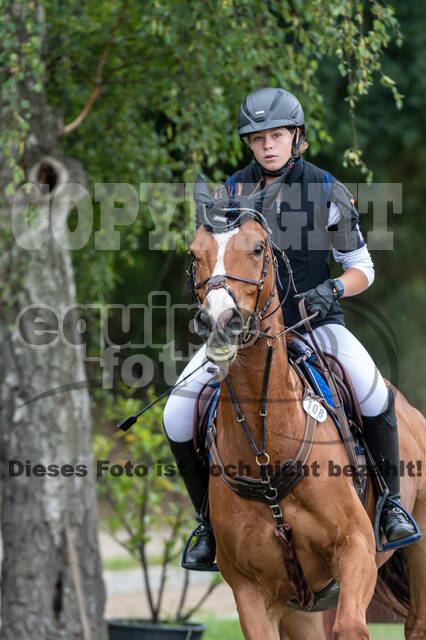 Late-Entry-Vielseitigkeit Langenfeld (11.+13./14.06.2020)