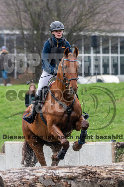 Goldene Schärpe 2020 - Pferde