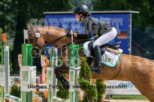 Goldene Schärpe 2021 - Ponys