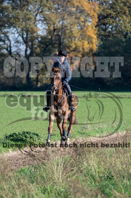 Vielseitigkeitslehrgang mit Jürg Kurbel (9.+10.11.2019)
