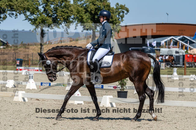 Kronenberg - De Peelbergen (August 2020)