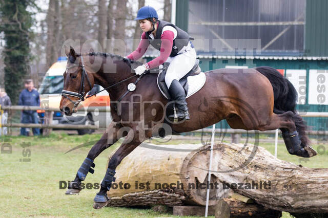 Jungpferdetag Hamminkeln