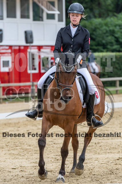 Goldene Schärpe 2021 - Ponys