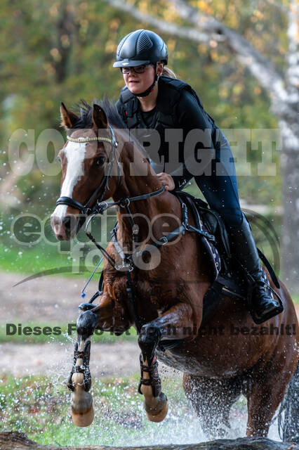 IGV Lehrgang der Sieger der Cups mit Frank Ostholt