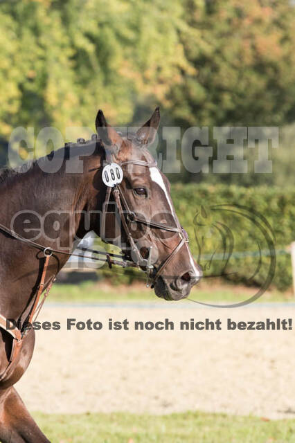 IGV Kleve