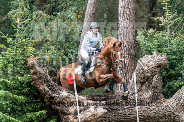 Vielseitigkeit RSV Wesel Obrighoven (26.+27.09.2020)