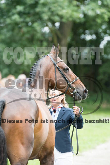 FEI European Championship Eventing 2017