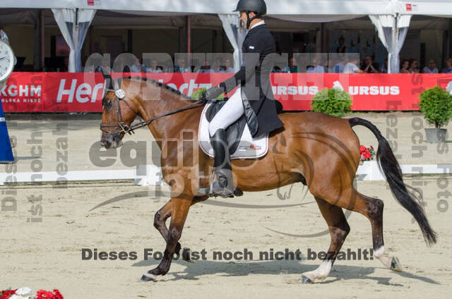 FEI European Championship Eventing 2017