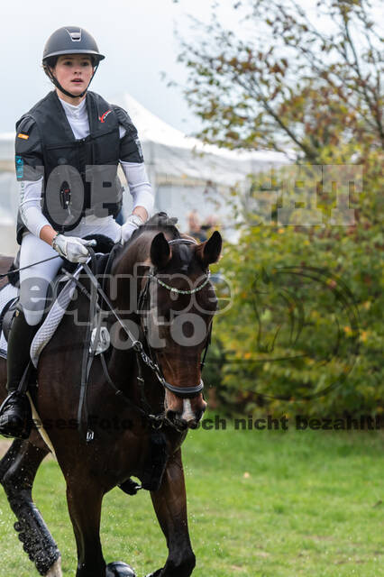 Goldene Schärpe 2020 - Pferde