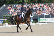 FEI European Championship Eventing 2019