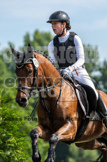 Goldene Schärpe 2021 - Ponys