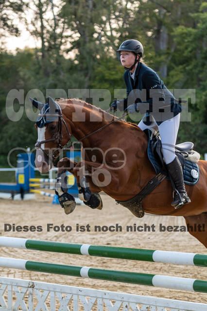 RFV Dinslaken-Hiesfeld (Herbstturnier)