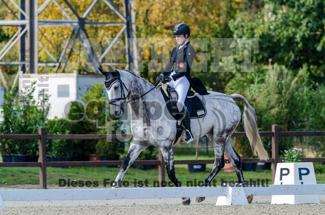 Deutsche Meisterschaft Vielseitigkeit (Luhmühlen)