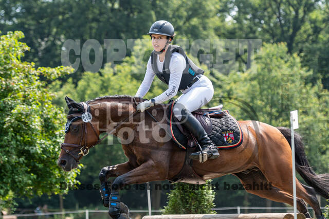 Goldene Schärpe 2021 - Ponys