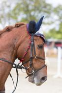 Sterne über Münster 2019 - CCI***S