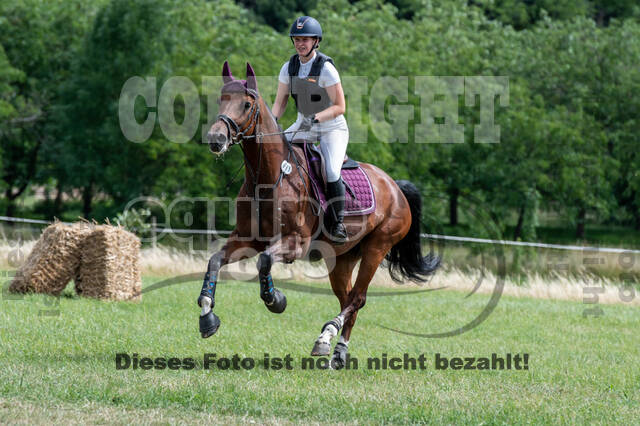 Bonn-Rodderberg Late-Entry-Vielseitigkeit (30.06.2020)