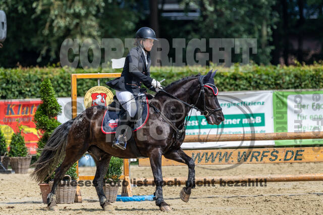 Goldene Schärpe 2021 - Ponys