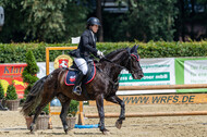 Goldene Schärpe 2021 - Ponys