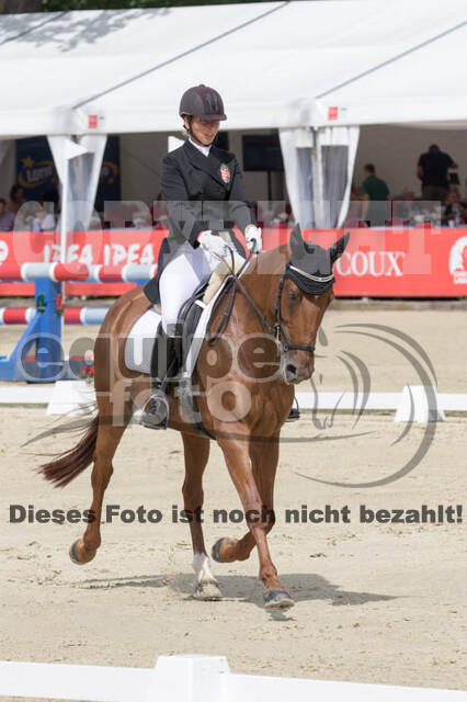 FEI European Championship Eventing 2017