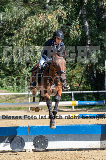 RFV Dinslaken-Hiesfeld (Herbstturnier)
