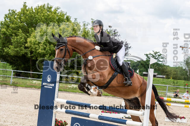 Late-Entry-Vielseitigkeit Langenfeld (06.+07.07.2020)