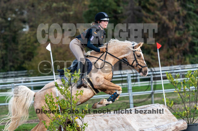 IGV Lehrgang der Sieger der Cups mit Frank Ostholt
