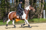 Geländetraining ZRFV Hamminkeln (24+25.04.2021)