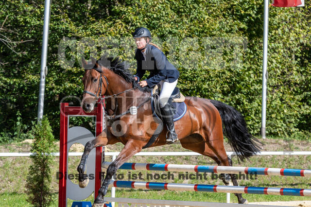 RFV Dinslaken-Hiesfeld (Herbstturnier)