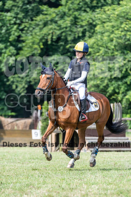 Goldene Schärpe 2021 - Ponys