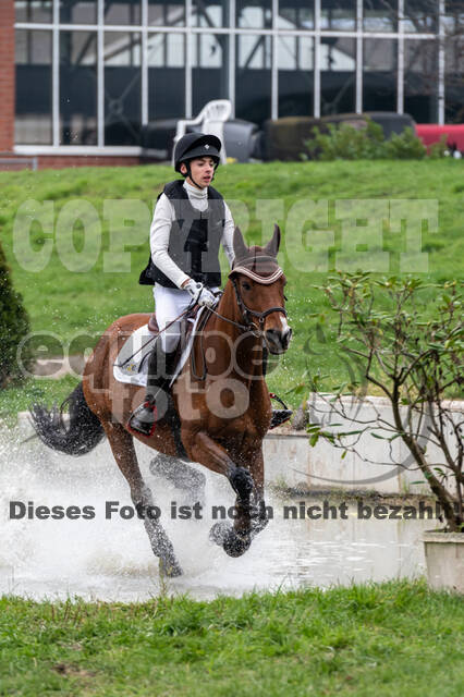 Goldene Schärpe 2020 - Pferde