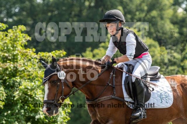 Goldene Schärpe 2021 - Ponys