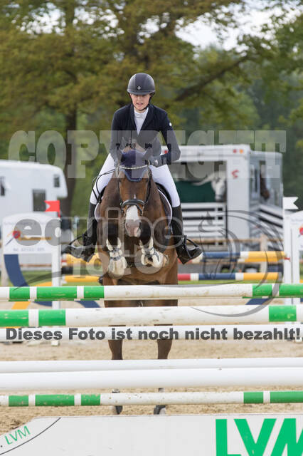 Sterne über Münster 2019 - CCI***S