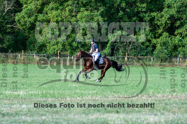 Bonn-Rodderberg Late-Entry-Vielseitigkeit (30.06.2020)