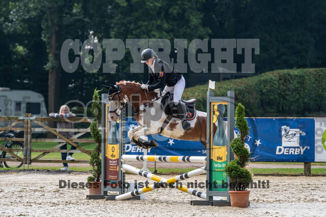 Goldene Schärpe 2021 - Ponys