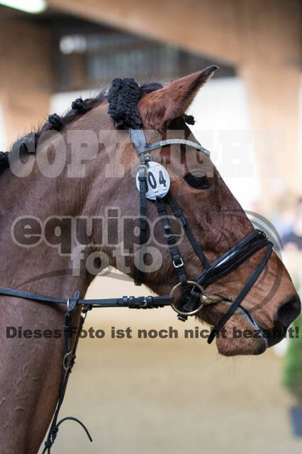Vierkampf Kreismeisterschaft Wesel 2018
